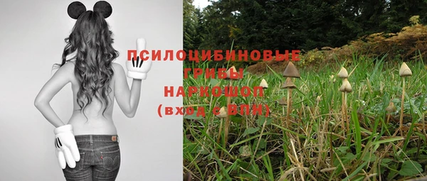 стафф Покровск
