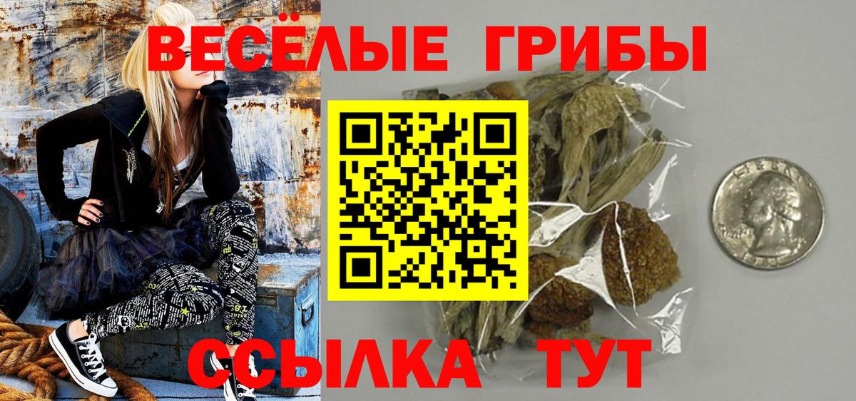 Псилоцибиновые грибы ЛСД Сертолово