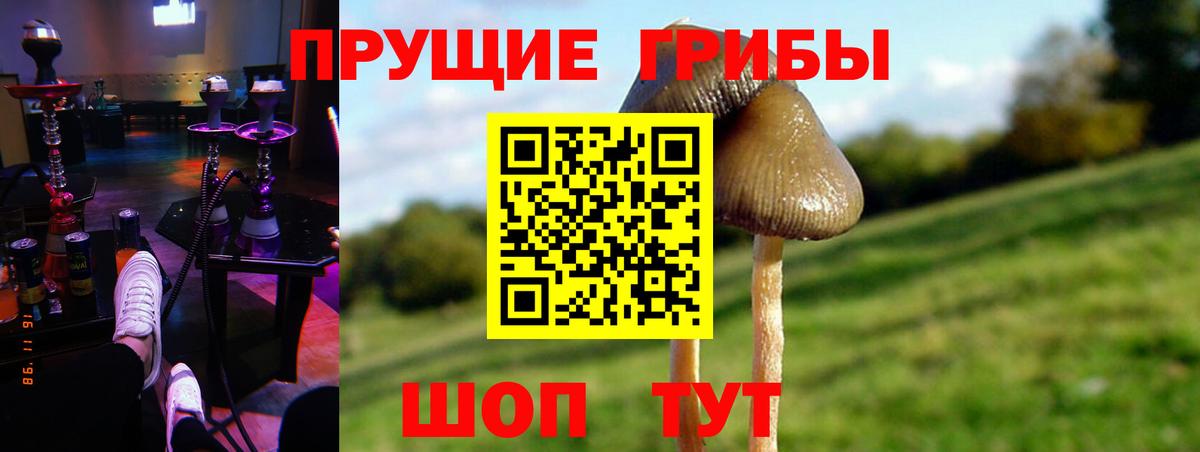 Галлюциногенные грибы мухоморы  Вход с VPN  Сертолово  Галлюциногенные грибы Psilocybine cubensis 