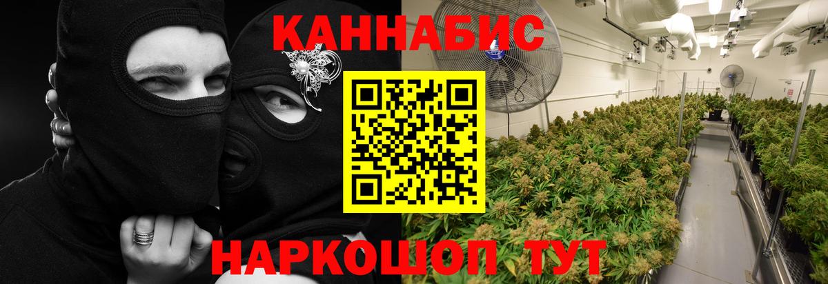 Конопля сатива  Каннабис семена  Сертолово  Вход с VPN 