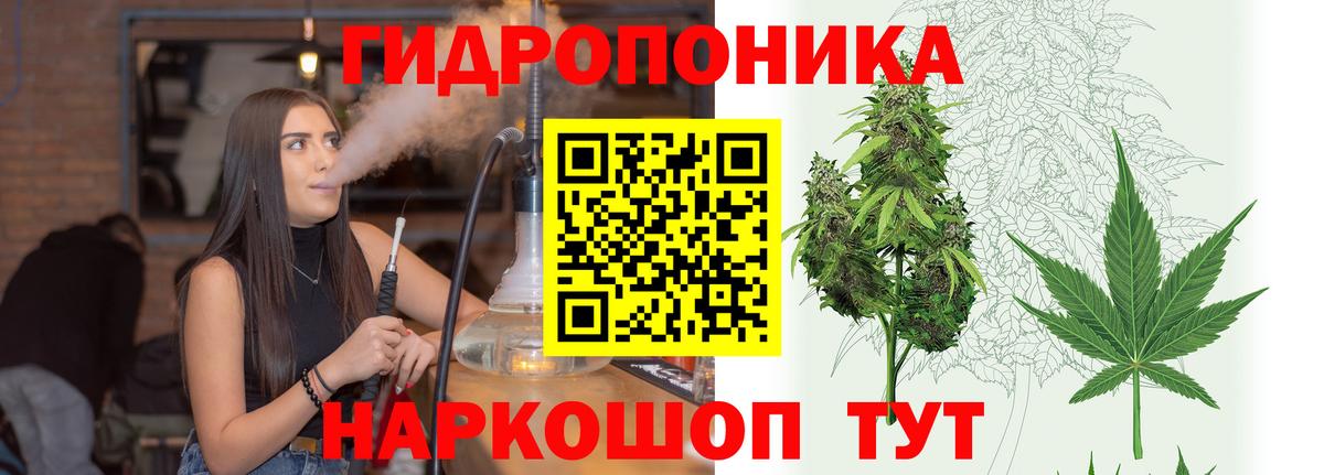 Конопля планчик Сертолово
